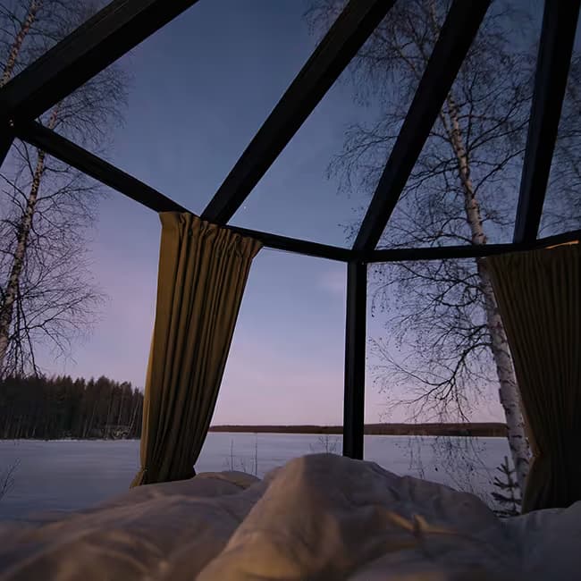 Aurora Nest