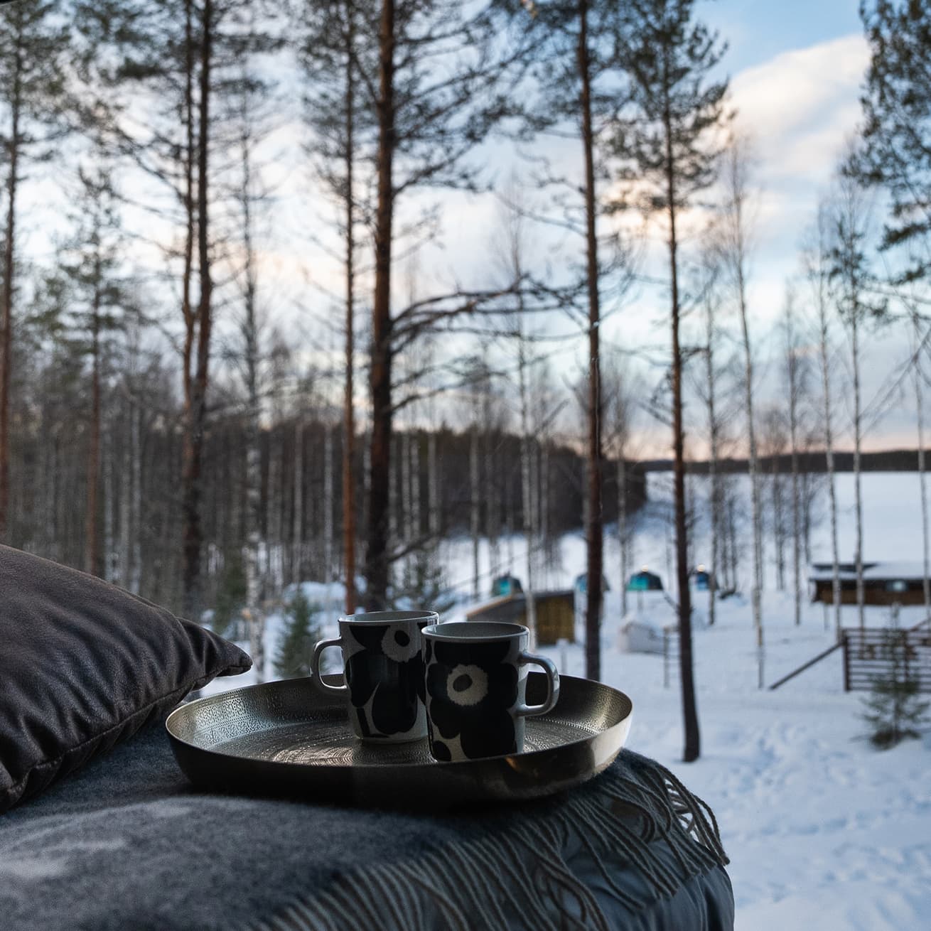 Aurora Treehouse