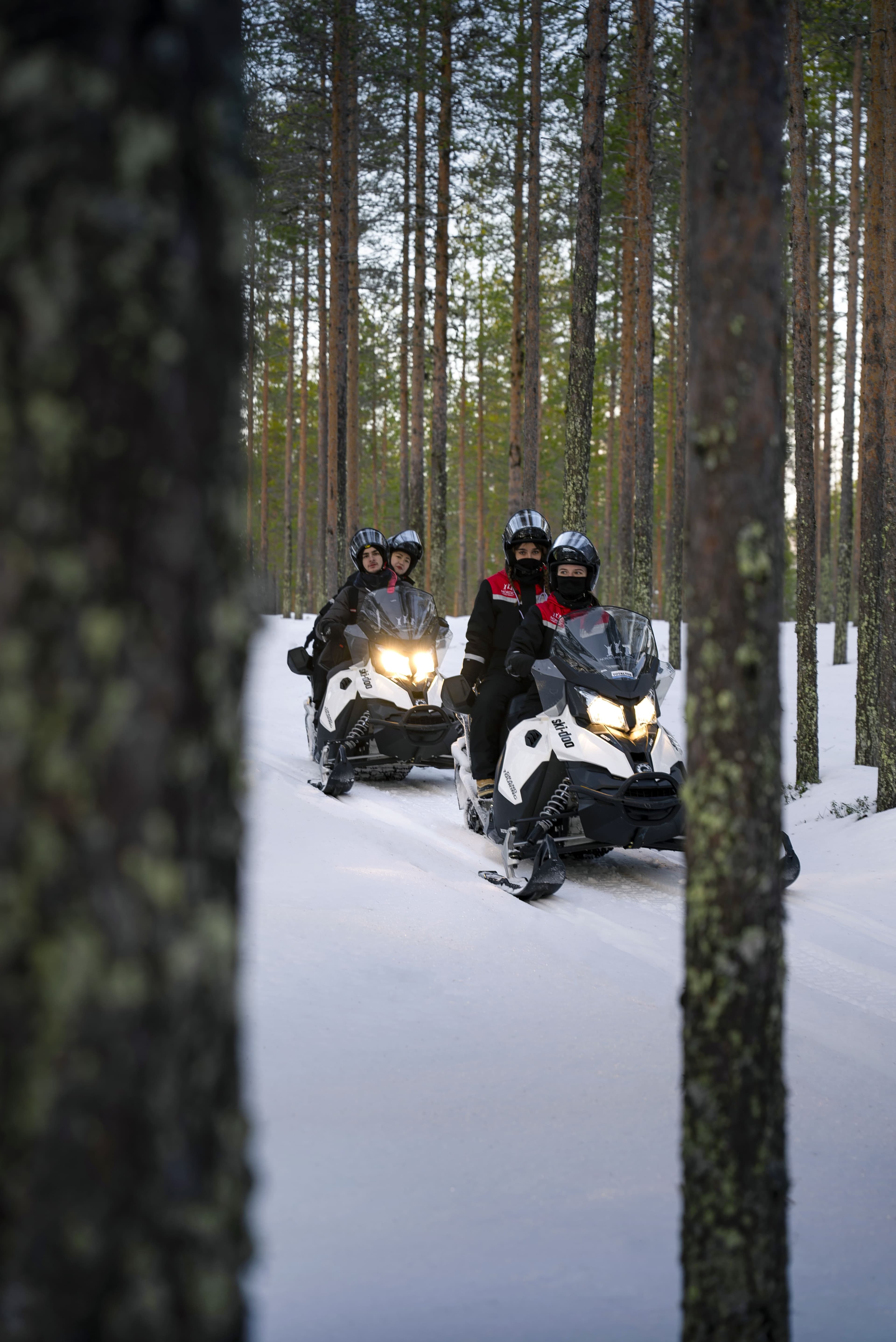 Private Tour | Snowmobile Adventure - 7