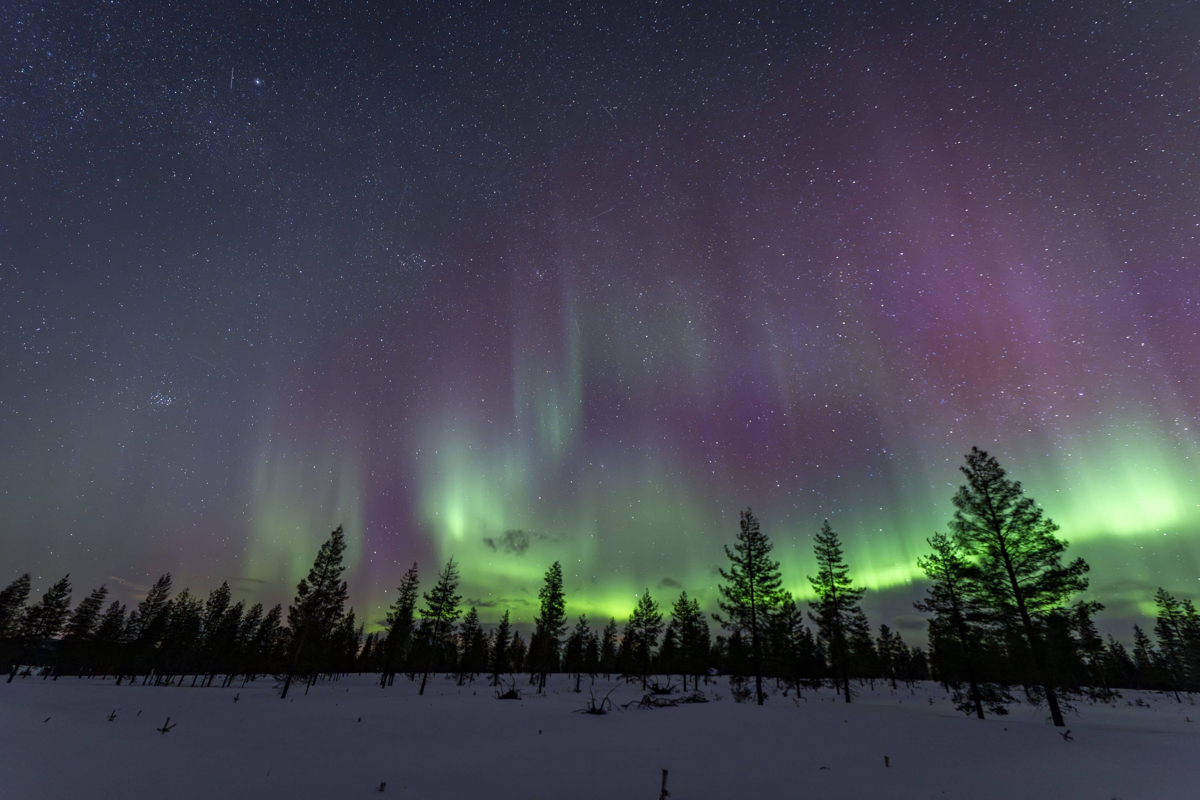 Aurora Nights in Lapland