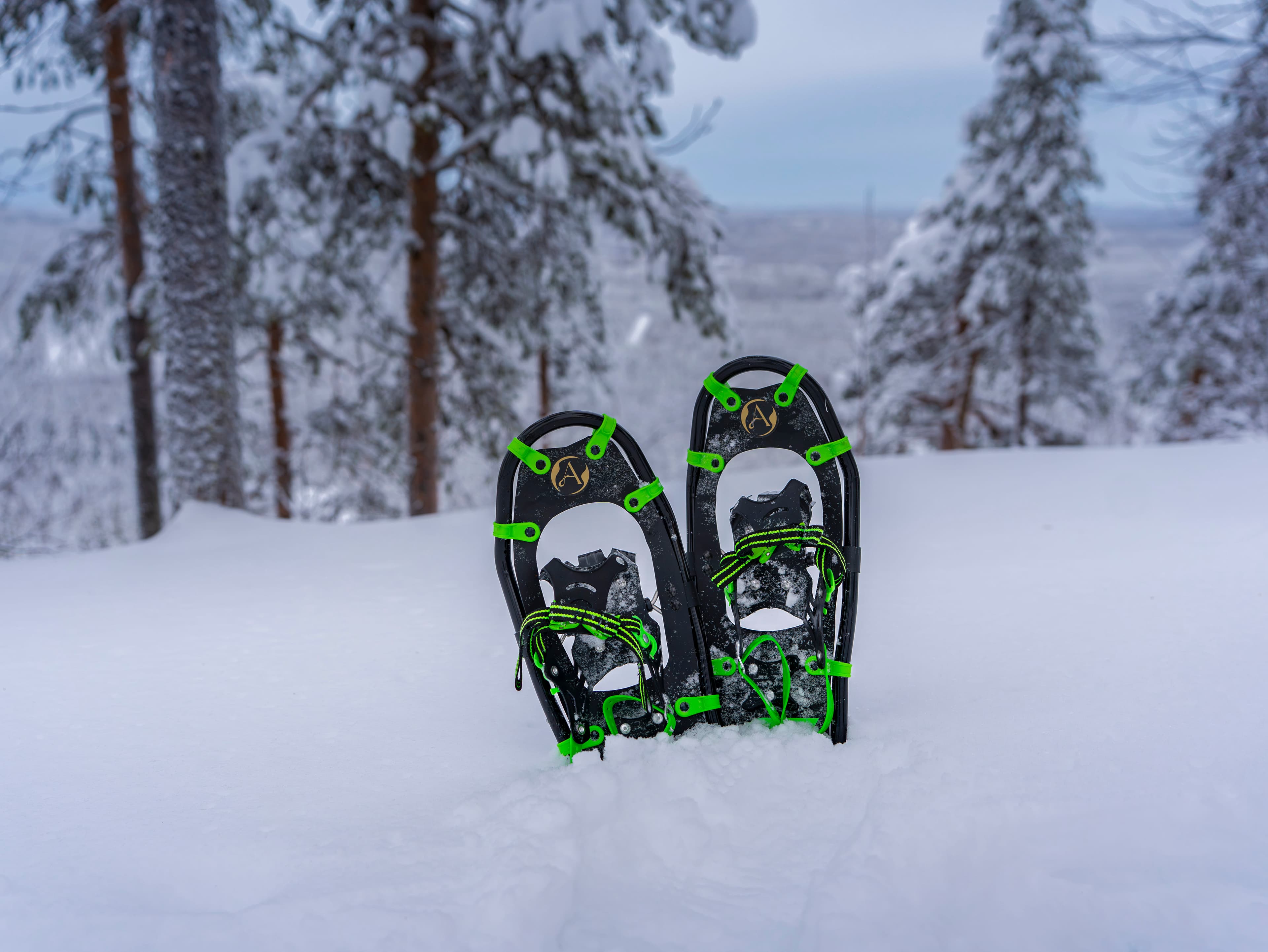 Snowshoe Hiking Experience