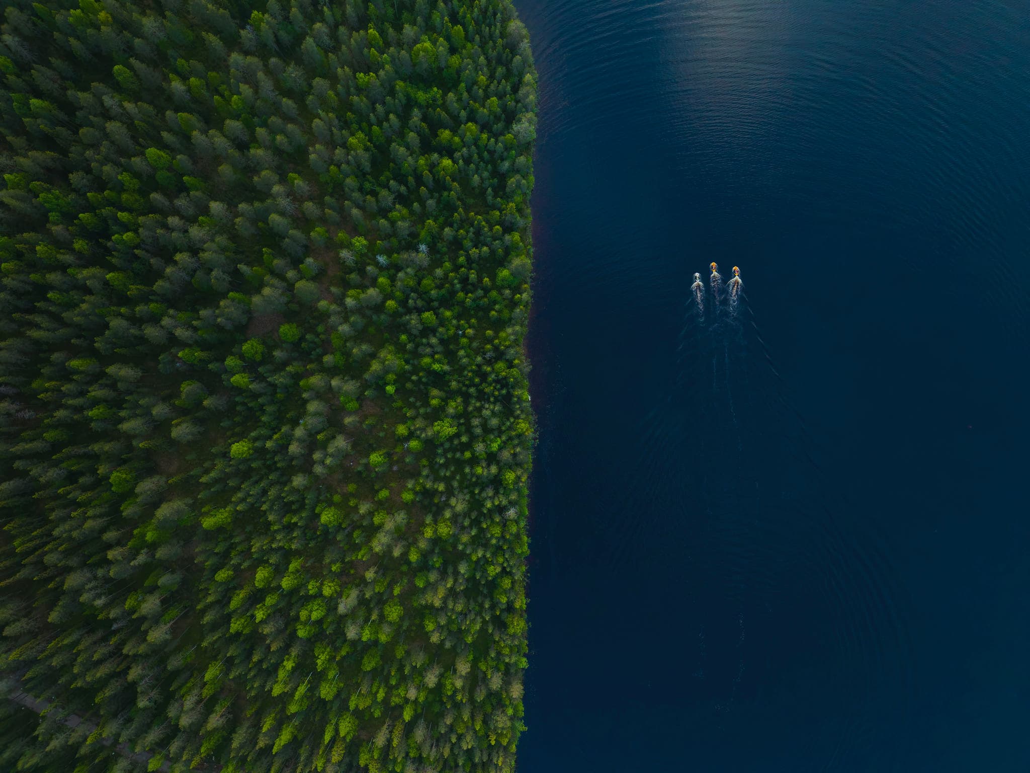 Jet Ski Ride on the Lake - 2