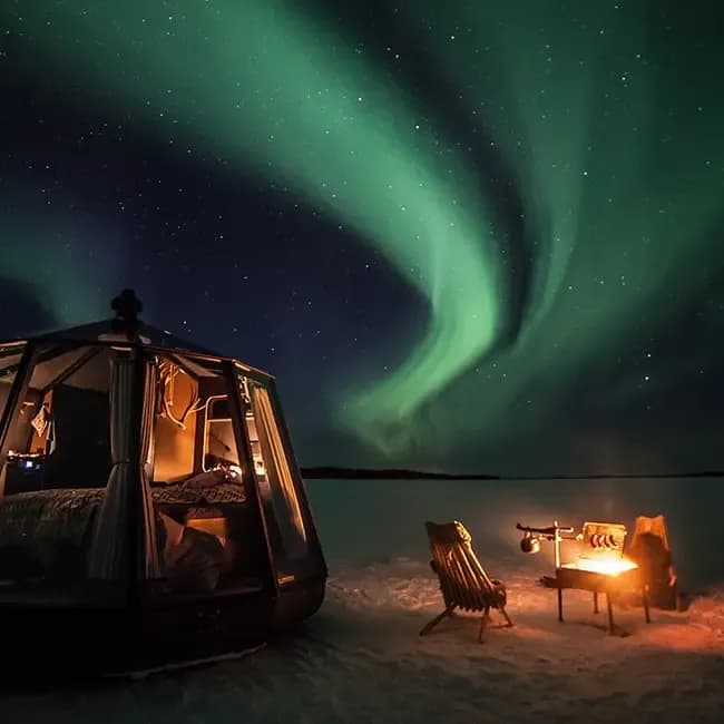 Aurora Nest
