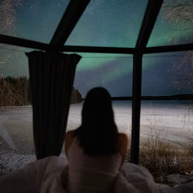 Aurora Nest