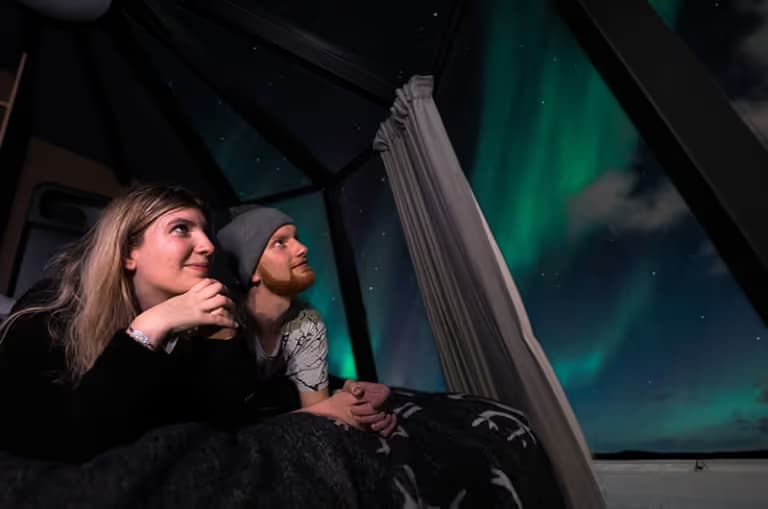 Aurora Nest