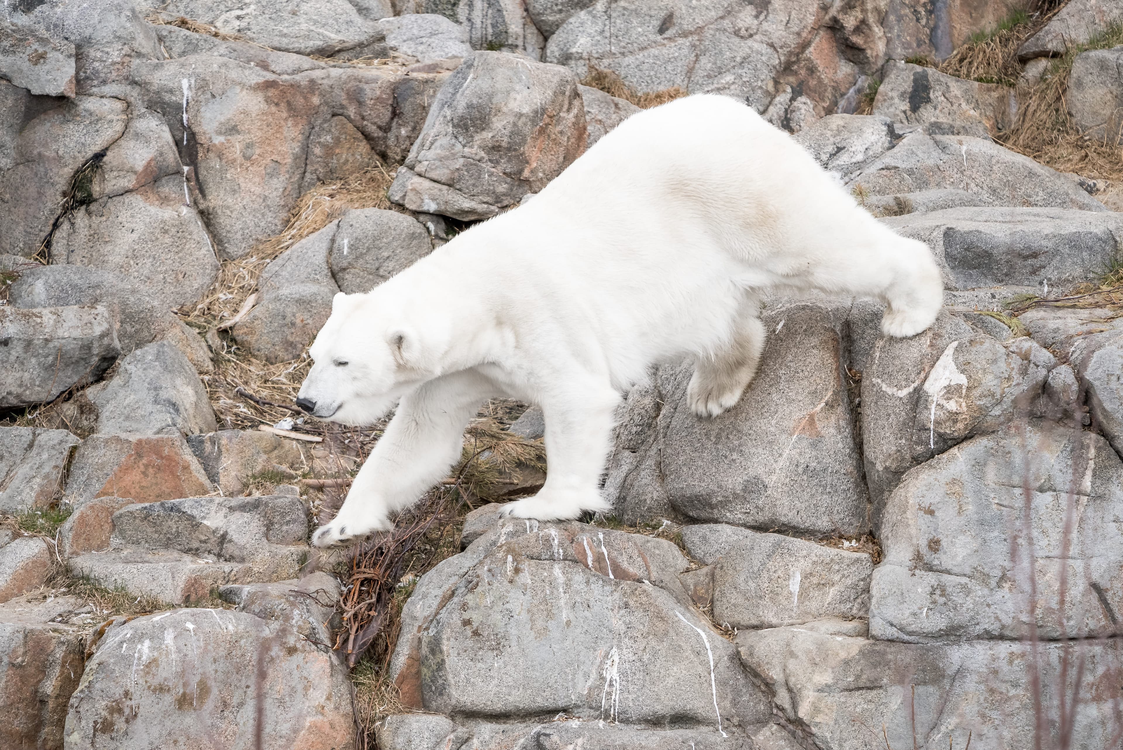 Arctic Wildlife Park Tour - 8