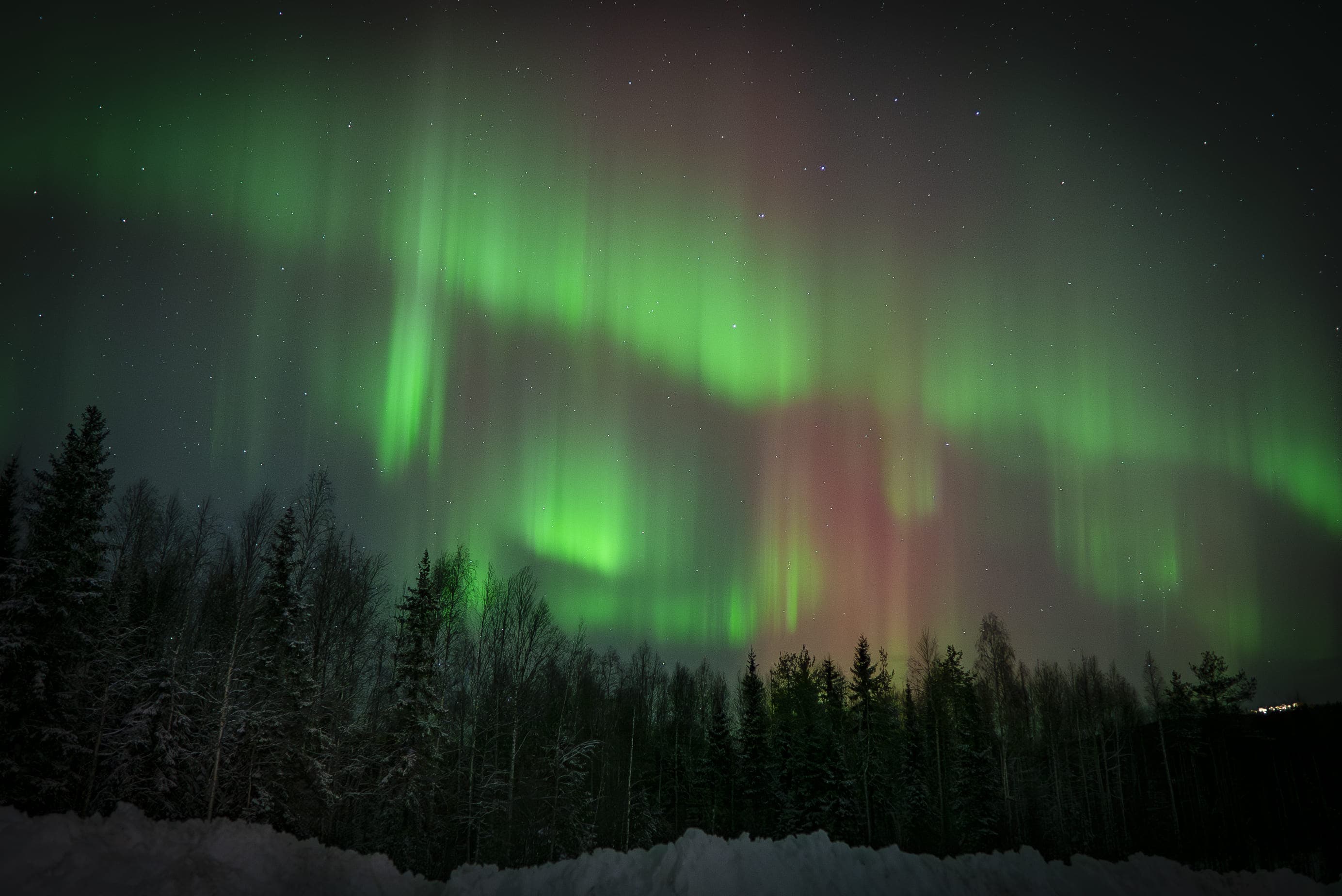 Northern Lights Hunt | Small Group - 7