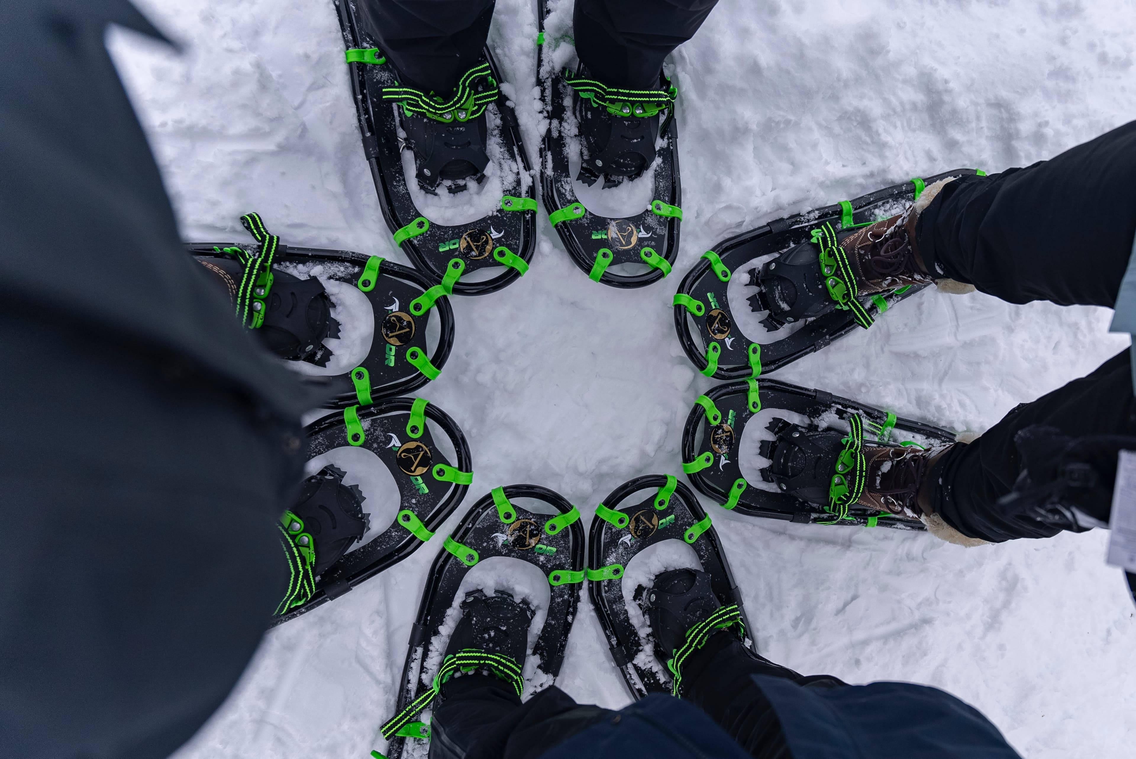 Snowshoe Hiking Experience - 5