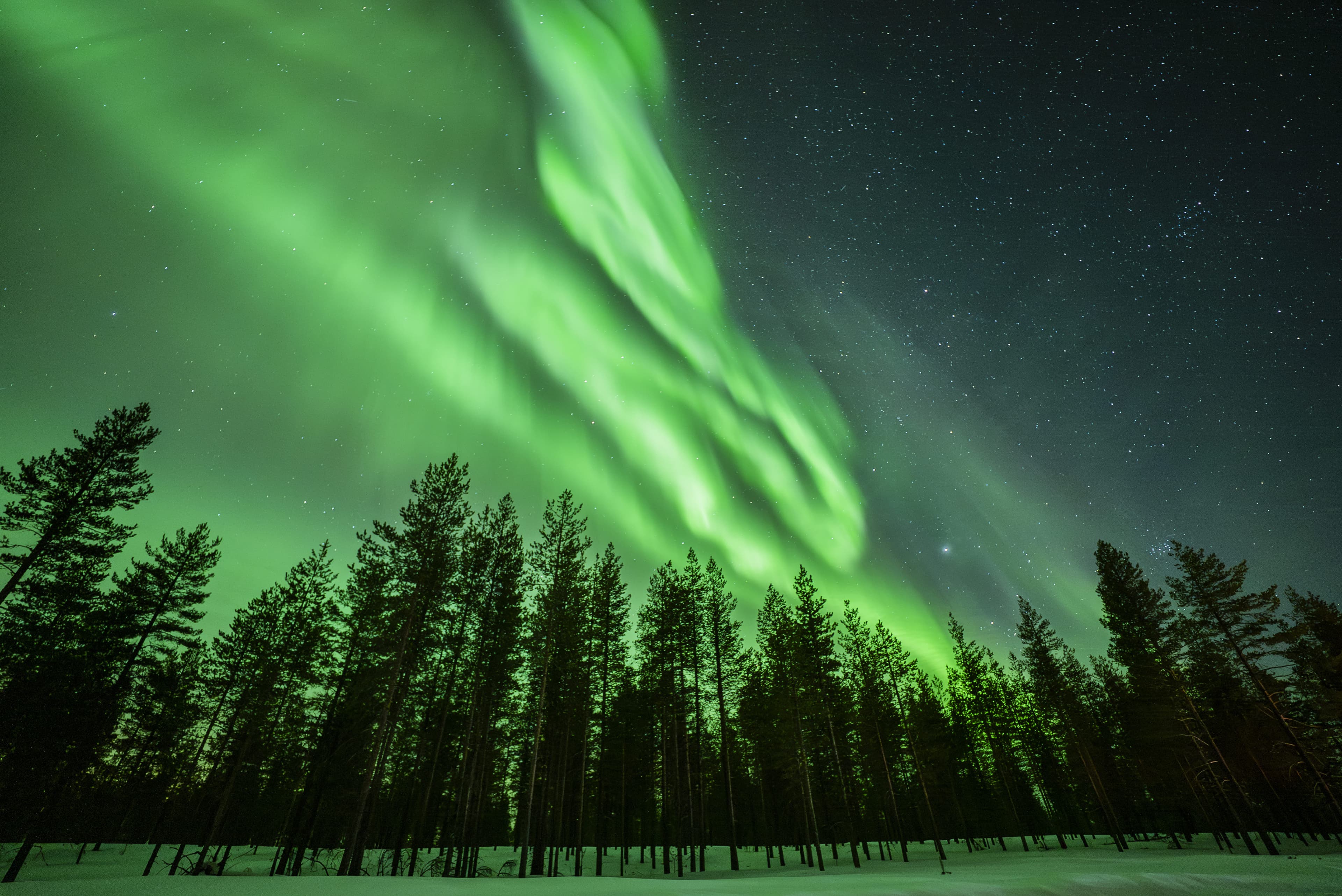 Aurora Nights in Lapland - 11