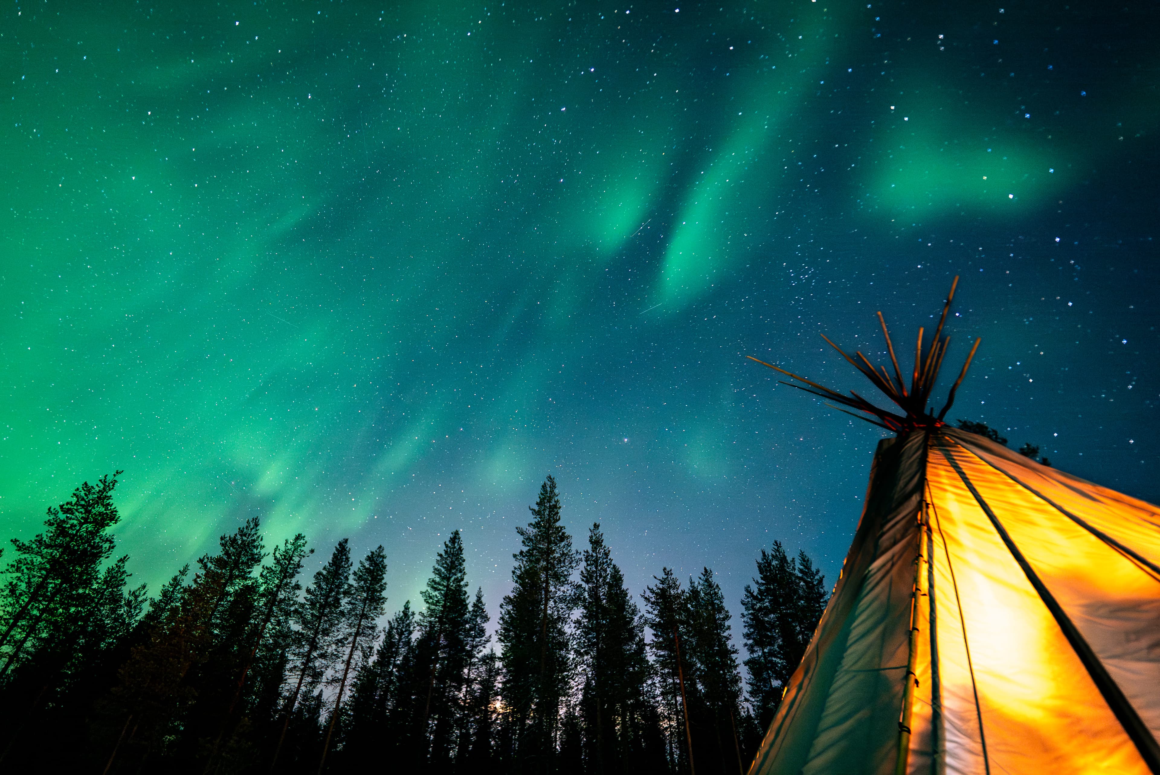 Northern Lights Hunt with Lappish Barbecue - 5
